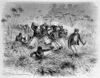 Passasje av Chisera av Livingstone og dets bærere - "" Livingstones siste reise 1866-1873"" i "" Jorden rundt"", 2. sem. 1875