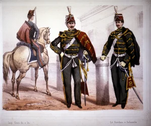 Piacenza Hussars (Italia), kostyme i 1866.