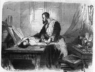 Portrett av André Vésale (1514-1564), nederlandsk anatom (på latin: Andrea Vesalius, nederlandsk: Andries Van Wesel). Gravering fra 1866.