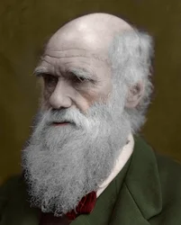 Portrett av Charles Darwin