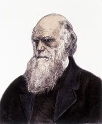 Portrett av Charles Robert Darwin, britisk naturforsker (1809-1882)