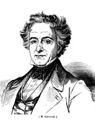 Portrett av Eugene Chevreuil (1786-1889), fransk maler.