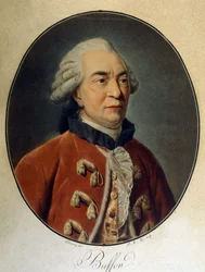 Portrett av Georges Louis Leclerc, greve av Buffon (1707 - 1788), fransk naturforsker og forfatter.