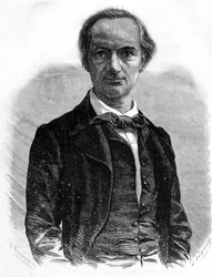 Portrett av poeten Charles Baudelaire (1821-1867) Gravering fra 1800-tallet