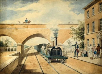 Rød hjort, ca. 1850 (akvarell på papir)