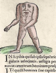 Representasjon av et medlem av Blemmyi-stammen i Nubia, beskriver uten hode, uten nakke og ansikt på stammen til Plinius den tidligere gravering fra "Prodigiorum ac ostentorum chronicon"" av Conrad Lycosthenes (1518-1561). 1557.