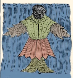 Representasjon av sjømunken, den imaginære fisken og det marine monsteret. Gravering fra «Prodigiorum ac ostentorum chronicon» av Conrad Lycosthenes (Konrad Wolffhart