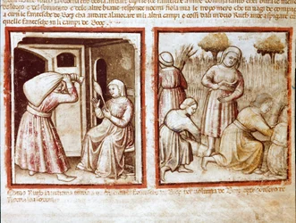 Ruth og Noemi (Naomi, Noemie) arbeider i feltene til Boaz (Booz) Miniatyr fra codex 212 (eller padovano codex eller Bible of Padua) 1390-1400 Rovigo, Accademia dei Concordi