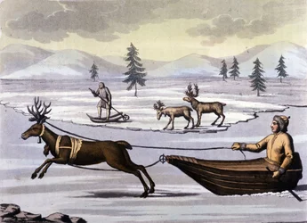 Samer: Urfolk som bor i landene i de nordlige landene (Norge, Finland, Sverige og Russland) beveger seg med reinsdyrkjelke eller på ski. Gravering av 1800-tallet