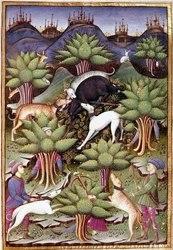 Scene med villsvinjakt Miniatyr fra "" Behandle falkejakt og venerier med mottoet og emblemet til hertugen av Sforza" 1459 (ms. 1375) Chantilly, Musee Conde