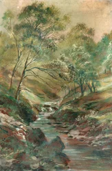 Strøm gjennom en skog