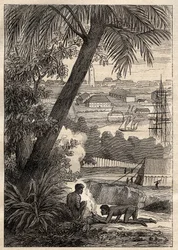 The Expedition to the Southern Lands (1800-1803) av Nicolas Baudin (1754-1803): View of Sydney (Australia) - illustrasjon fra "The Great Mariners of the 18th century""