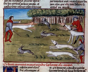 Hare Hunt Miniature fra "The Book of Hunting" av Gaston III Phoebus, greve av Foix, Lord of Bearn (1331-1391)