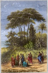 The School of Pythagoras - Pythagoras blant hans elever i Crotona - gravering 1879 - Filosofen Pythagoras og hans disipler under skyggeleggingen av Crotone, gravering av 1879