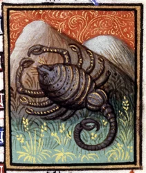 Skorpionen. Miniatyr av et horoskop. 1400-talls manuskript. Bibl. Trivulziana, Milano.