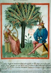 Datomakeren. En kvinne spiller lyre foran en mann som hører på musikk. I bakgrunnen et palmetre som det vokser dadler på. Belysning fra handel med medisin og kosthold (ms. lat. 9333) "" Tacuinum sanitatis""" etter handel med medisin "" Kitab