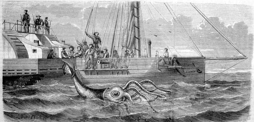 Den første kjempeblekkspruten fanget i 1861 av den franske korvetten Alecton. Da mannskapet heiste den om bord, brakk den i to og forsvant til havbunnen. Gravering fra slutten av 1800-tallet. Breton