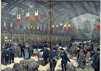 The general agricultural competition of Paris - March 14
