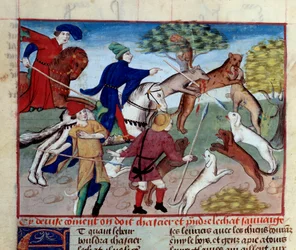Jakten på villkatt Miniatyr hentet fra "" The book of hunting"" av Gaston III Phoebus, greve av Foix, Lord of Bearn (1331-1391)