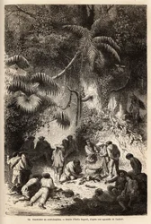 Tilberedning av et måltid i den uberørte skogen i Caravaya-dalen (Andes cordilliere), en boa constrictor med kort kjøttkraft. Engravure pour illustrrer le voyage dans les vallees de Quinquinas (Peru), av Paul Marcoy, i 1849-1861, utgitt i "" Le tou