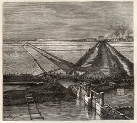 Saltmyra i Giraud i Camargue (Bouches-du-Rhone), utsikt tatt fra servicekanalen - gravering i 'Les Merveilles de l'Industrie' av Louis Figuier