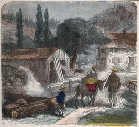 Sagbruket. 1800-talls illustrasjon. Bianchetti samling.