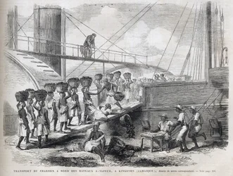 Transport av kull om bord på dampskip i Kingston (Jamaica) - Lasting av kull i Kingston - Jamaica - 1866 Gravering fra "" The Illustrous Universe"" 1866