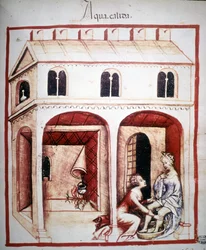 Avhandling om medisin "" Tacuinum sanitatis"" 1300-tallet: bruk av varmt vann. B.N, Wien.