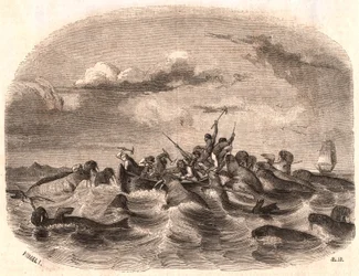 Utsikt over en gruppe engelske sjømenn som jager en flokk med hvalross i 1818 utenfor kysten av Spitsbergen