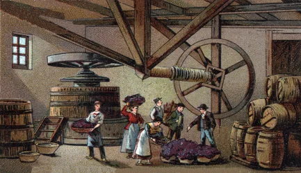 Vinproduksjon: vinpresse fra hospice Beaune (clos vougeot). Kromolitografi fra slutten av 1800-tallet