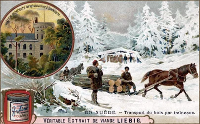 Vedtransport med sleder, Sverige. Kromolitografi, Liebig-bilde.