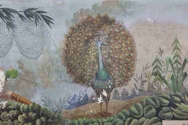 En påfugl, detalj av 3743687 (fresco)