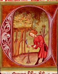 Botanikk: en gartner som planter om en plante. Miniatyr fra "Rustican eller Boken om landets og jordbrukets utbytte" (Rerum ruralium commodorum) av Pietro de Crescenzi (Crescent Stone eller Crescens Stone) (1233-1320), 14. århundre. Praha