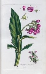 Valurt