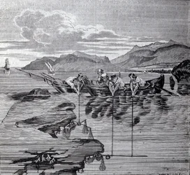 Korallfiske ved hjelp av salaber og redskap.