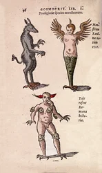 Ulike monstre og fantastiske skapninger fra Krakow og Ravenna Plate hentet fra "" De Natura Divini Caracterismis"" av Cornelio Gemma