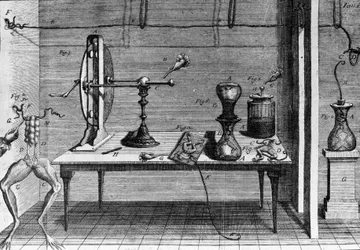 Illustrasjon av eksperimenter av Luigi Galvani, italiensk fysiker og lege (1737 - 1798) som forklarer passasjen av elektrisk strøm som beveger bena til en frosk.