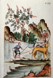 Indianere som pløyer en åker med hunder, fra boken "Trujillo del Peru" eller "Codex Martinez Companion", av Baltazar Martinez Companion og Bujanda, biskop av Trujillo (1782-1785)