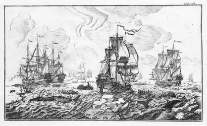 La chasse à la caleine - gravering i "" Klassisk beretning om den artiske hvalfangstindustrien"" av Cornelis Zorgdrager