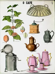 Plate som illustrerer de forskjellige stadiene av å lage kaffe, kaffegren, mølle og forskjellige kaffetraktere. Gravering av privatsamlingen fra 1800-tallet