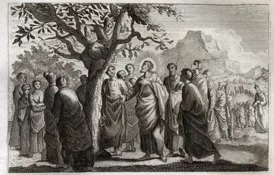 Royaumont Bibelen, Det nye testamente: Omvendelse av Zachee. Jesus Kristus snakker med Zachee og sitter på platanen. Illustrasjon fra 1811.