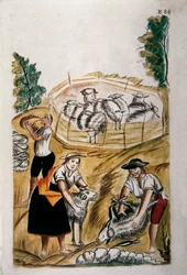Saueklipping, fra boken "Trujillo of Peru" eller "Codex Martinez Companion", av Baltazar Martinez Companion og Bujanda, biskop av Trujillo (1782-1785)