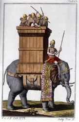 Elefanten som karthagerne brukte som dyr til arbeid og krig. gravering - i "" Enciclopedia universale illustrata""