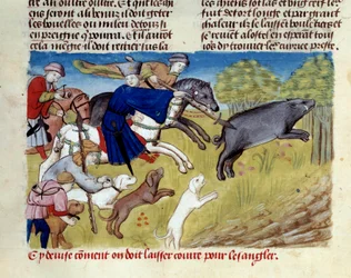 Villsvinjakten i miniatyr fra "" The book of hunting"" av Gaston III Phoebus, greve av Foix, Lord of Bearn (1331-1391)