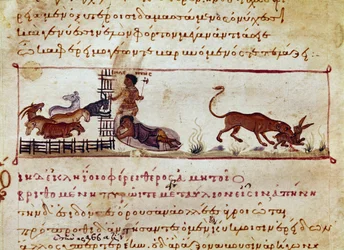 Saueoppdrett, til høyre blir en hare fortært av et miniatyrdyr hentet fra jaktmelkingen "" The Cynegetics"" av Oppian (Oppian eller Oppianus) fra Syria (3. århundre e.Kr.) dedikert til Caracalla. Venezia fra 1000-tallet. Biblioteca Marc