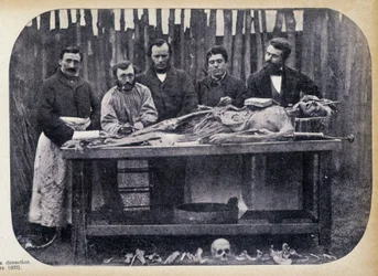 Disseksjon, v.1865.