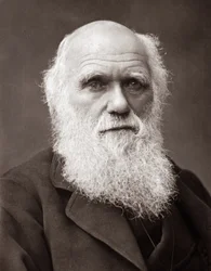 Den engelske naturforskeren Charles Robert Darwin (1809-1882)