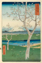 Fuji fra Koshigaya, Musashi, nr. 14 fra serien «36 utsikter over Fuji-fjellet», «Fuji Saryu Rokkei»
