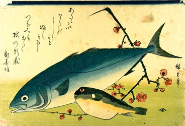 Hiroshige En stim med fisk Fugu gulhale