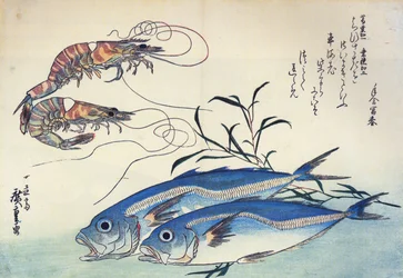 Hiroshige Hestemakrell og reker
